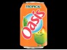 Oasis